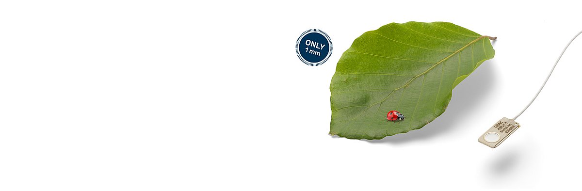 The World´s Thinnest Condenser Microphones